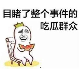 娱乐吃瓜酱法律有多严谨,揭秘法律严谨背后的严密体系