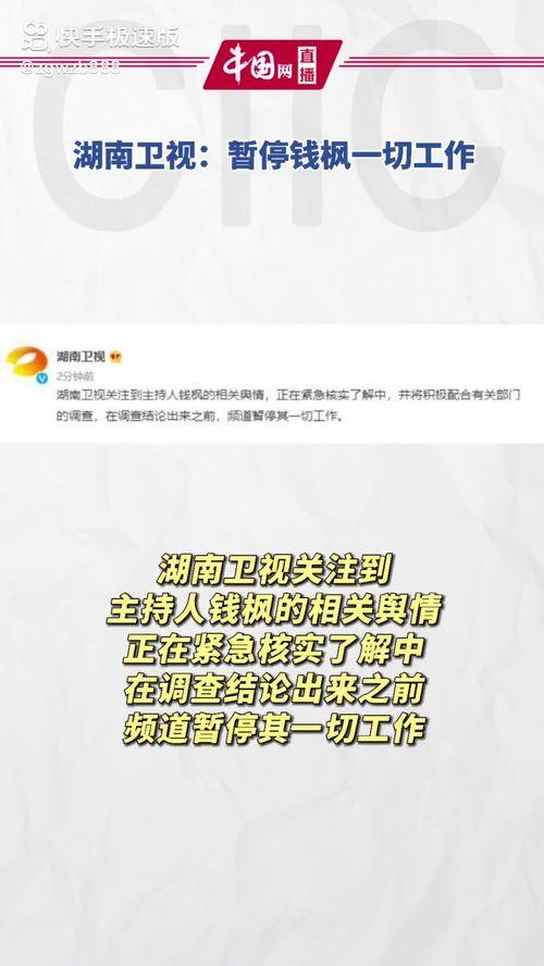 娱乐718吃瓜网址,吃瓜网站背后的热点追踪与娱乐资讯