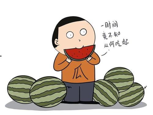娱乐吃瓜君英语
